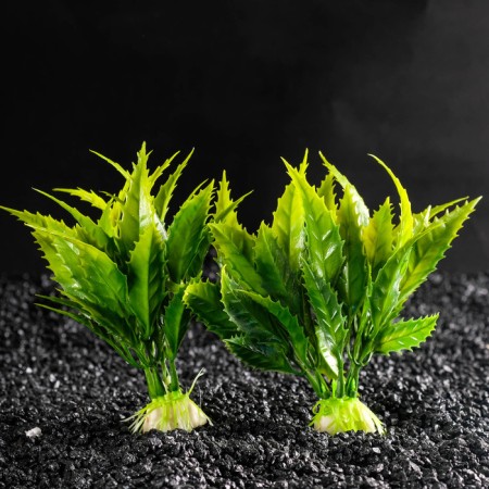 Set of artificial plants for aquarium (2 pcs), 11.5 cm