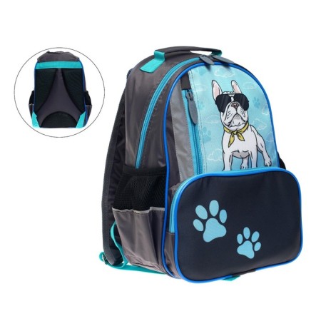 School backpack, 37 x 26 x 13 cm, ergonomic back, Calligrata ORT "BULDOG"-5