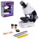 Children's microscope "Young scientist" The frequency of x100, x400, x1200, backlight, white color