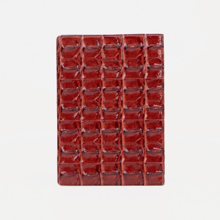 Cover for passport, red color-1