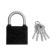 The castle of the hinged "Allur" VS1Ch-4506, the handle d = 8 mm, 5 keys