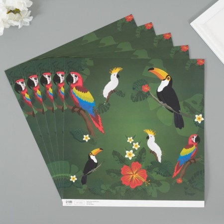 Scrapbooking paper "Exotic birds" density 180 grams set 5 pcs 30.5x32 cm-1