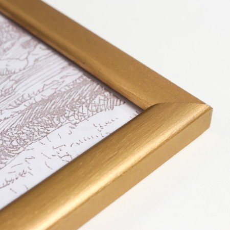 Photo frame pine c19 gold 30x42 cm (plastic screen)-2