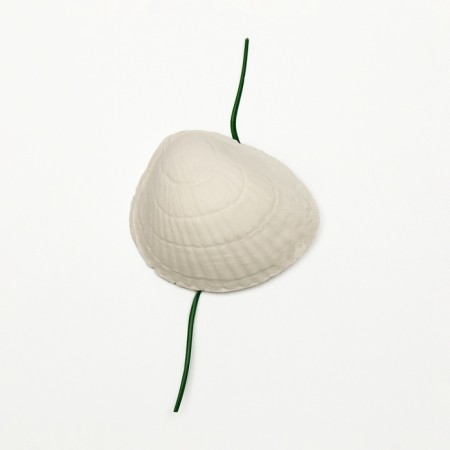 Mineral stone "Pigger" for birds, shells, 9 g-4