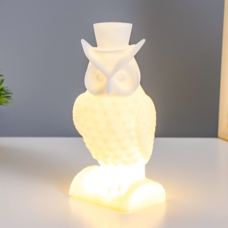 Night Owl LED from white batteries 7x9x19 cm Risalux-1