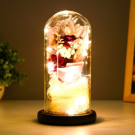Network Sales "Bouquet" LED from batteries 3HAAA 11x11x22 cm Risalux-2