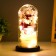 Network Sales "Bouquet" LED from batteries 3HAAA 11x11x22 cm Risalux
