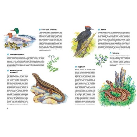 Nature of Russia. Illustrated Encyclopedia. Svechnikov V., Romanova T.-7