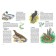 Nature of Russia. Illustrated Encyclopedia. Svechnikov V., Romanova T.