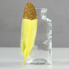 A set of feathers of the goose 15-20 cm, 10 pcs, yellow with golden crumb