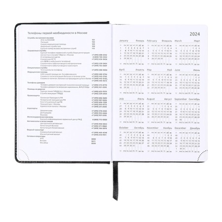 Dated diary 2025 b6 168 sheets, Devente. Wild, a hard cover to leatzers with foam rubber, perforation, liesse, block 70, black-8