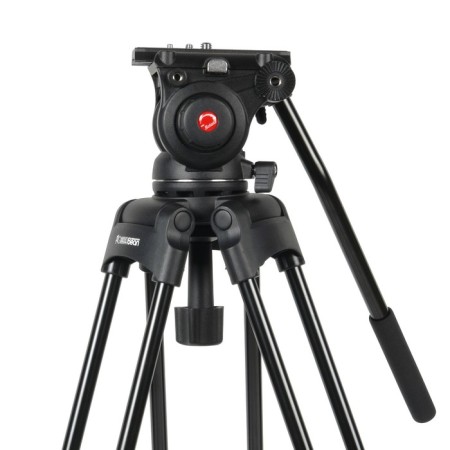 Greenbean Videomaster 309MS DISPECTION-5