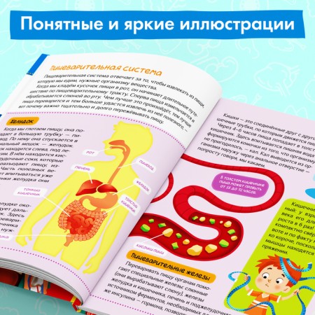 Encyclopedia in solid binding "Human Body", 48 p.-4