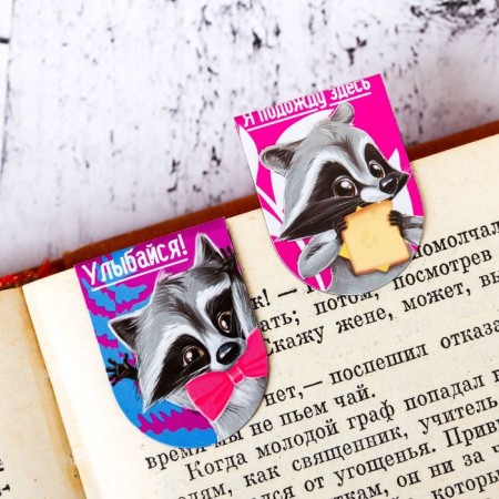 Magnetic bookmarks on the raccoon substrate, 6 pcs-1