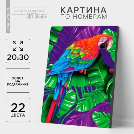 Picture on numbers on canvas with a “parrot” snap 20x30 cm