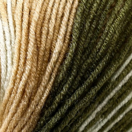 Yarn "Nordic" 20% wool, 80% acrylic 510m/150g (651)-2
