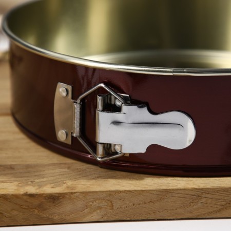 Form for baking and layout with the size of the size “Nikis”, D = 24 cm, h = 6 cm, anti -stick coating, color mix-17