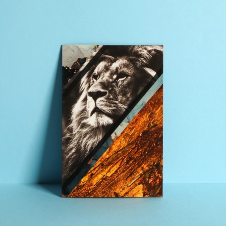 Average postcard "Sincerely", lion, 12 × 18 cm