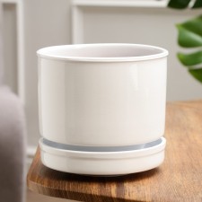 Flower Pot 