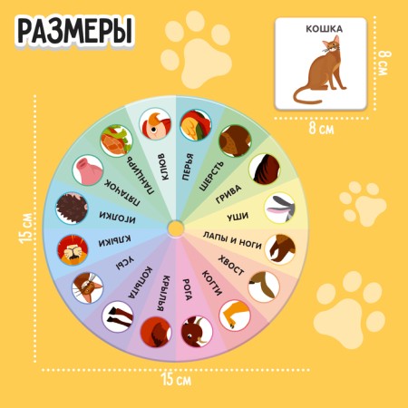 Developing set of "studying animals"-3