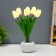 Spinker "White Tulips" LED 1.2W 4000k white 9x9x25cm Risalux