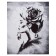 Picture on canvas "Aquilegia" 40*50 cm