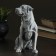 Souvenir "Rottweiler (Big)" 19.5cm