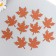 Foamir's blank "List of maple", 5x5cm, 10pcs, brown set