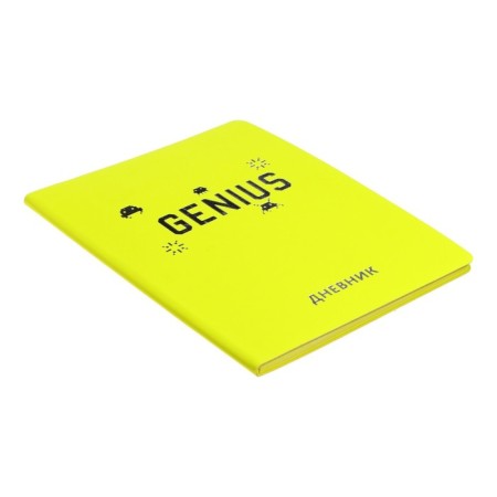 Diary Artificial leather 1-11 grade, 48 sheets, cage, integral cover Silver Lines. Genius, foil embossing, rounded corners, color end-1