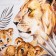 Ethel Papa towel 40x73 cm, 100% cotton, waffle 160 g/m2