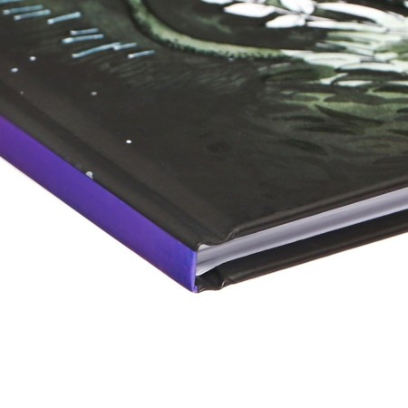 Diary of a solid cover 1-11 grade 48 sheets, "Crystal", cover cardboard 7BC, matte lamination, selective UV-lame, cheat sheet-3