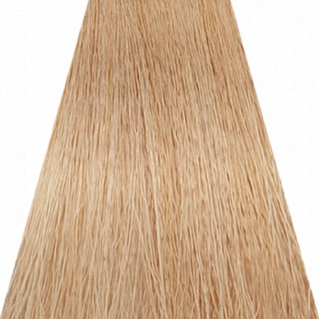 Cream-coloring hair Concept Soft Touch, without ammonia, tone 10.38, 100 ml