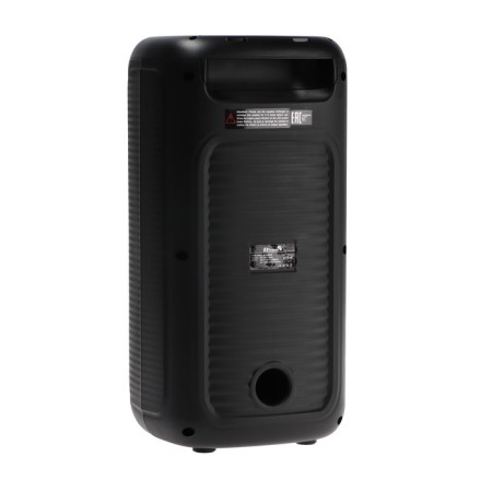 Portable column Eltronic Fire Box 220, 22W, 4000 MACH, FM, BT, Microsd, AUX, TWS, LIGHT-3