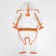 Complete raincoat for dogs, rr m (ds 30, og 42 cm, weight 5-8 kg), transparent-orange