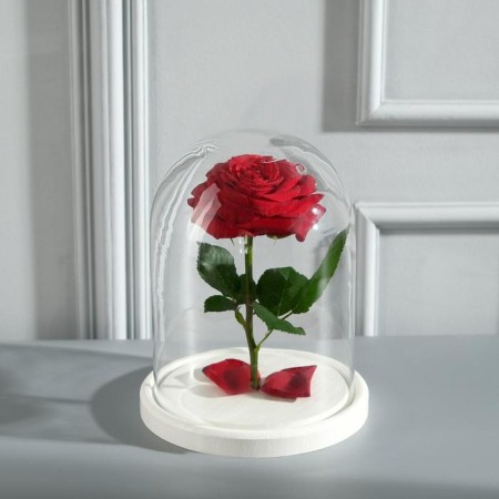 Glass dome -slosh on a wooden stand "Vincent - 1", 20x15 cm, white-1
