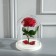 Glass dome -slosh on a wooden stand "Vincent - 1", 20x15 cm, white