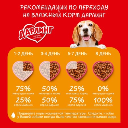 Wet darling food for dogs, gravy chicken, spider, 75 g-4