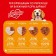 Wet darling food for dogs, gravy chicken, spider, 75 g