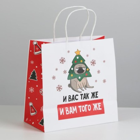 Gift package "And you also", 22 x 22 x 11 cm, new year-1