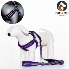 The ammunition set is soft, reflective, leash 120 x 2 cm, Osh 25-72 cm, purple
