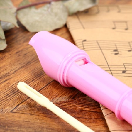 Music Life Blockflate, Pink, German System, Soprano, 30 cm-4