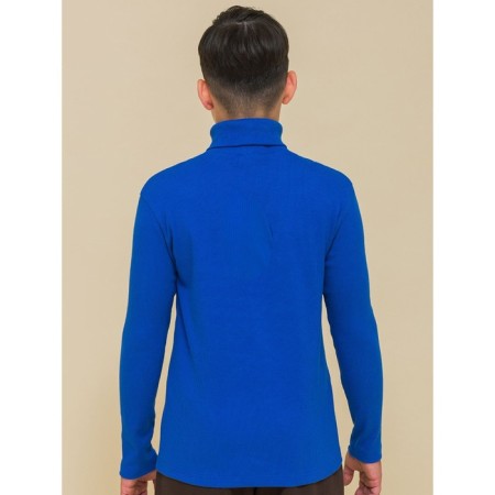 Turtleneck for the boy Pelican, height 140 cm, color ultramarin-2