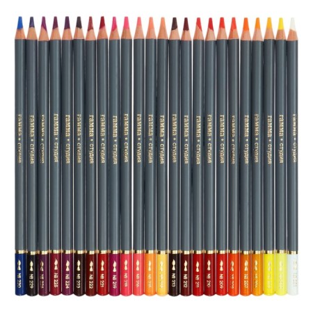 Pencils Watercolor Gamma "Studio" 48 colors, barrier 3.8 mm, cardboard box, 110822_48-3