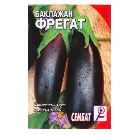 Eggplant seeds "Frigate" Sembat mid -season, plastic, without bitterness