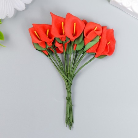 Flowers for decorating "Red Calles" 1 bouquet = 12 colors 11 cm