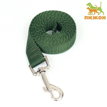 Leash 1.2 m x 2 cm, green