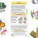 Board game "Collect animals", 32 cards, 5+