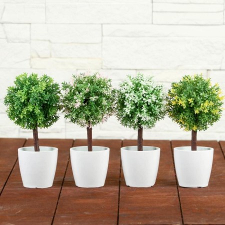 Bonsai in the pot "Color Leaflets" 18 cm, mix-3