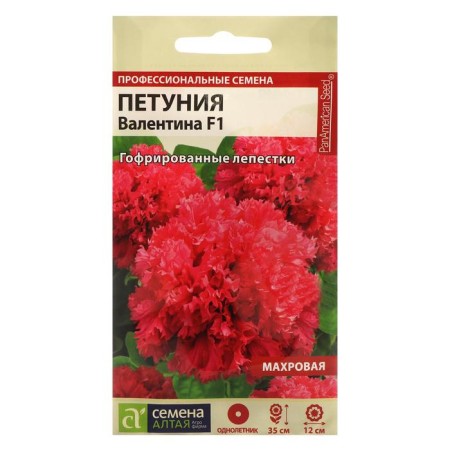 Flowers of Petunia "Valentine", Terry F1, this. ALT, c/n, 10 pcs