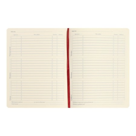 Universal diary for grades 1-11, 48 sheets "kitten", artificial leather cover, liescse-5